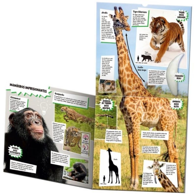 Mi libro de animales asombrosos